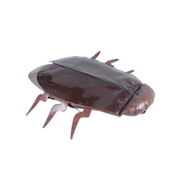 Quirky Cockroach Backpack – Hilarious Gag Gift for Friends, Transparent😏 - Picture 1 of 6